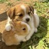 bun's profile picture