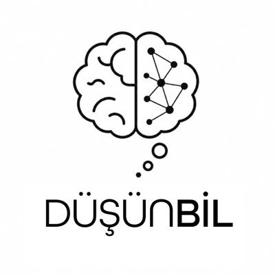 dusunbildergisi's profile picture