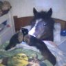 Profilbild von harto