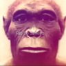 Singe originel profil fotoğrafı