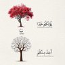 روح الله 🩵 的头像