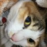 Profilbild von แมรี่อย่าหยุมป้า