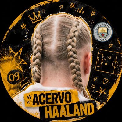 Acervo Erling Haaland🌎's profile picture