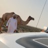 Фото профиля حمد الغيلاني Hamed Al Ghailani