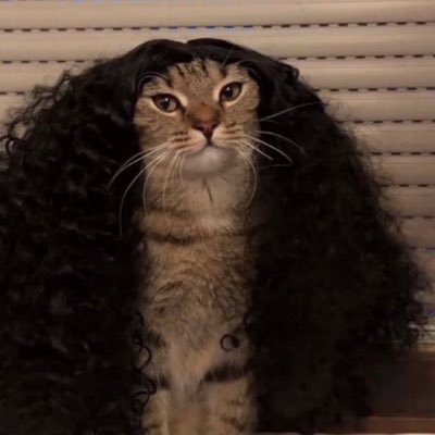 Ali 🐅🔥's profile picture