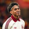 Profilbild von Gustavo ⓟ