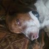 Profilbild von Zer0x