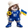 Profilbild von Sunflower Seeds Fella 🌻🇺🇦✌
