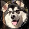 Profilbild von RuninOnerth