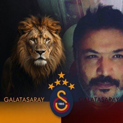Aslan_Kral💛❤'s profile picture