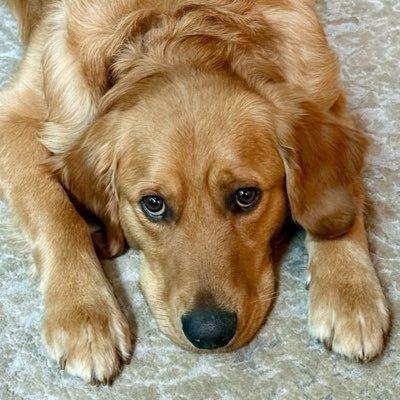 ChanceTheGolden's profile picture