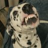 Jason's profile picture