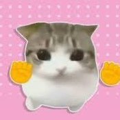 meowpinfrens's profile picture