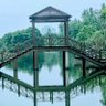 Oriental Perspective 东方视角 的头像
