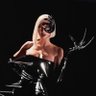 Фото профиля pinksvenom