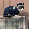 RPD出勤初日泥酔大遅刻夕方出勤's profile picture