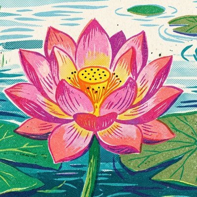 eksdsni's profile picture