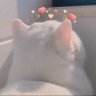 . ⋆ มอลอ . ⋆. 𐙚 ̊'s profile picture
