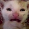 STORMCLOUD's profile picture