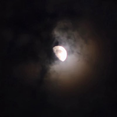 Lkkklfsy's profile picture