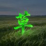 草 profil fotoğrafı