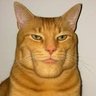 Profilbild von pp