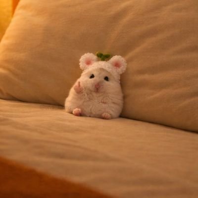 mahya_bahrami1's profile picture