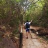 Intromertido. 🇨🇴 🕊 🏞🌿🦎 profil fotoğrafı