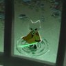 Brody Hoskins's profile picture