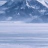 Фото профиля Brad Williams
