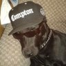 Profilbild von truno