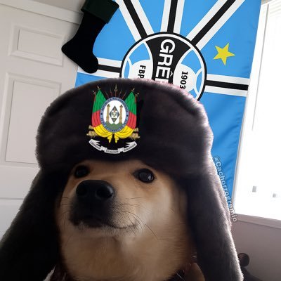 CachorroGremio's profile picture