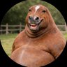 Shtifke profil fotoğrafı