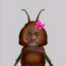 cihuw's profile picture