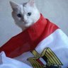 Profilbild von 🇪🇬