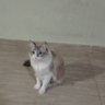 Cami Araceli. _ profil fotoğrafı