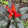 Фото профиля Mameta