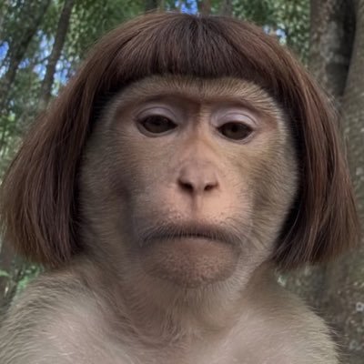 Engfa Waraha (ตัวจริง)'s profile picture