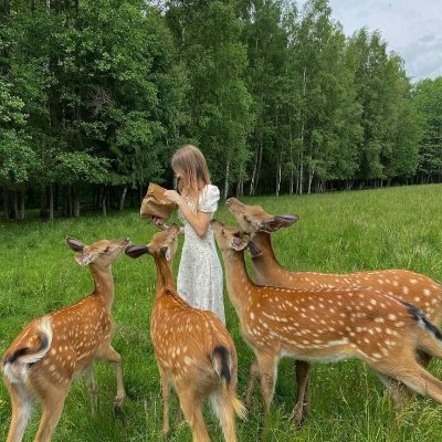 Animal paradise's profile picture