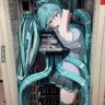 Angel 的头像