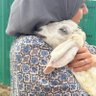 Dr. Umi Bilal's profile picture