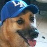 Profilbild von EAG