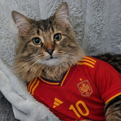 Ducks 🇦🇫🇪🇸⚽'s profile picture