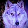 Kara⁷ 🪷⟭⟬💜⟬⟭ *𝑩𝑻𝑺 ARIRANG ⊙⊝⊜ 🪭* 🦋 profil fotoğrafı