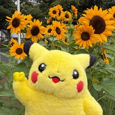 pokerii_'s profile picture
