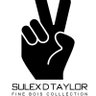 sulex_stitches ✌️🧵✂️'s profile picture