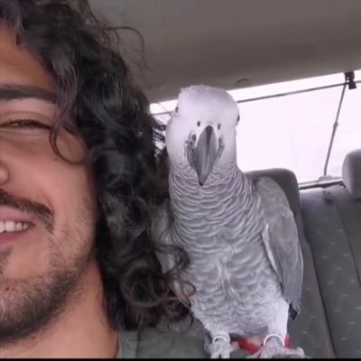ꪀꪖꫀꪶ ꪖꪶ-ꫝꫀꪀᦔꪖ᭙ꪗ's profile picture