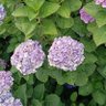 Фото профиля あなま