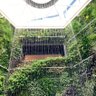 💎sako🍯's profile picture