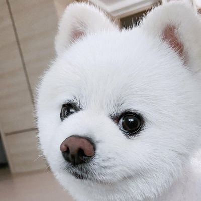 HJW's profile picture